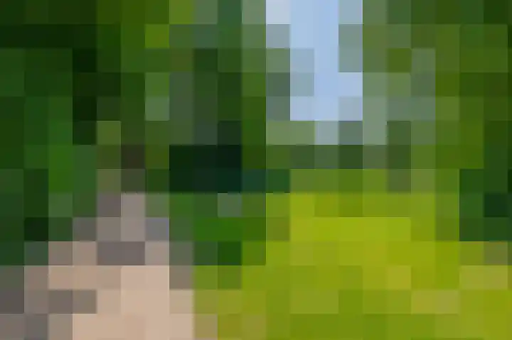 Ravelstraat 38 Lisse thumbnail 39