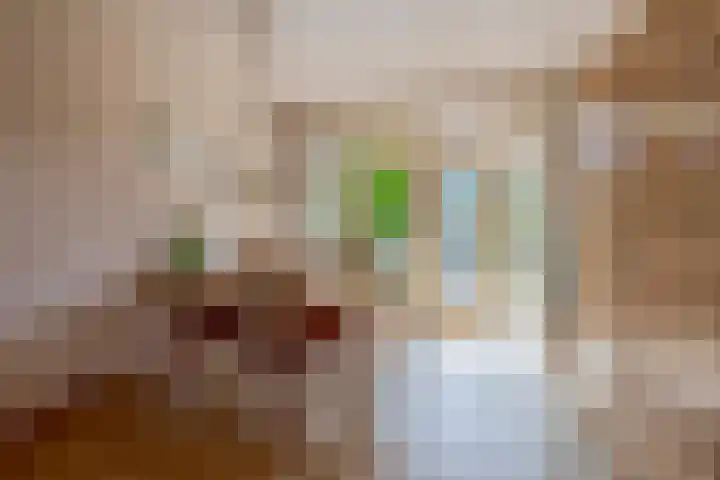 Ravelstraat 38 Lisse thumbnail 5