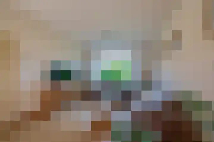 Ravelstraat 38 Lisse thumbnail 6