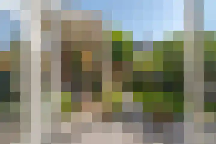 Ravelstraat 42 Zwolle thumbnail 25
