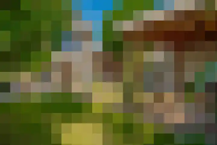 Ravelstraat 42 Zwolle thumbnail 32