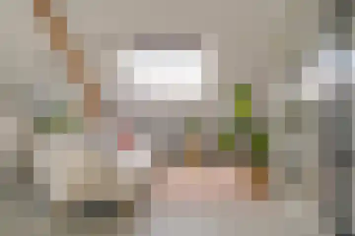 Ravelstraat 42 Zwolle thumbnail 54