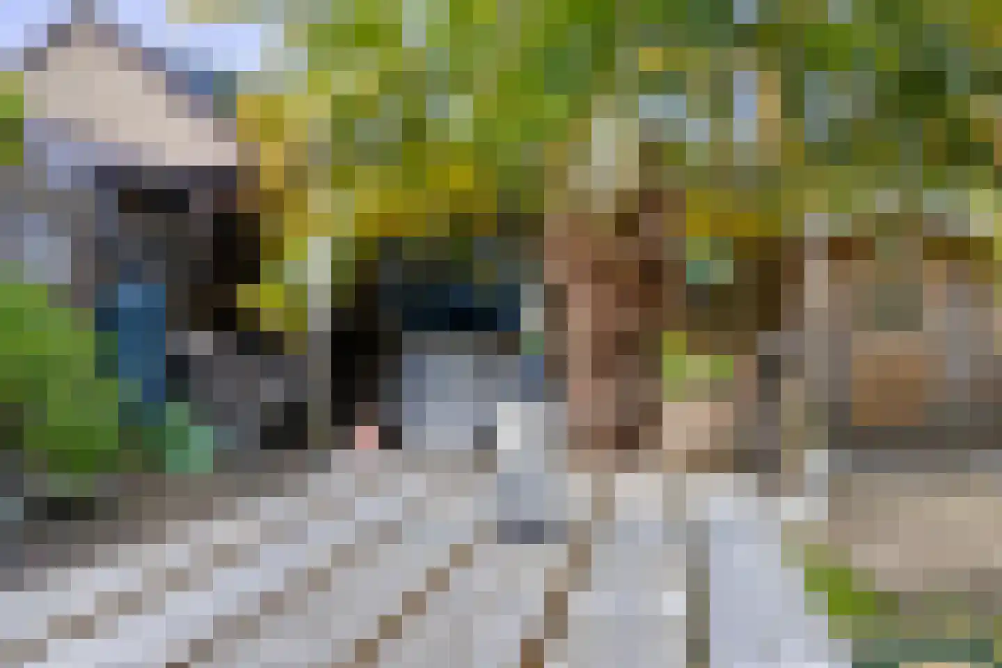 Ravelstraat 48 Lisse thumbnail 17