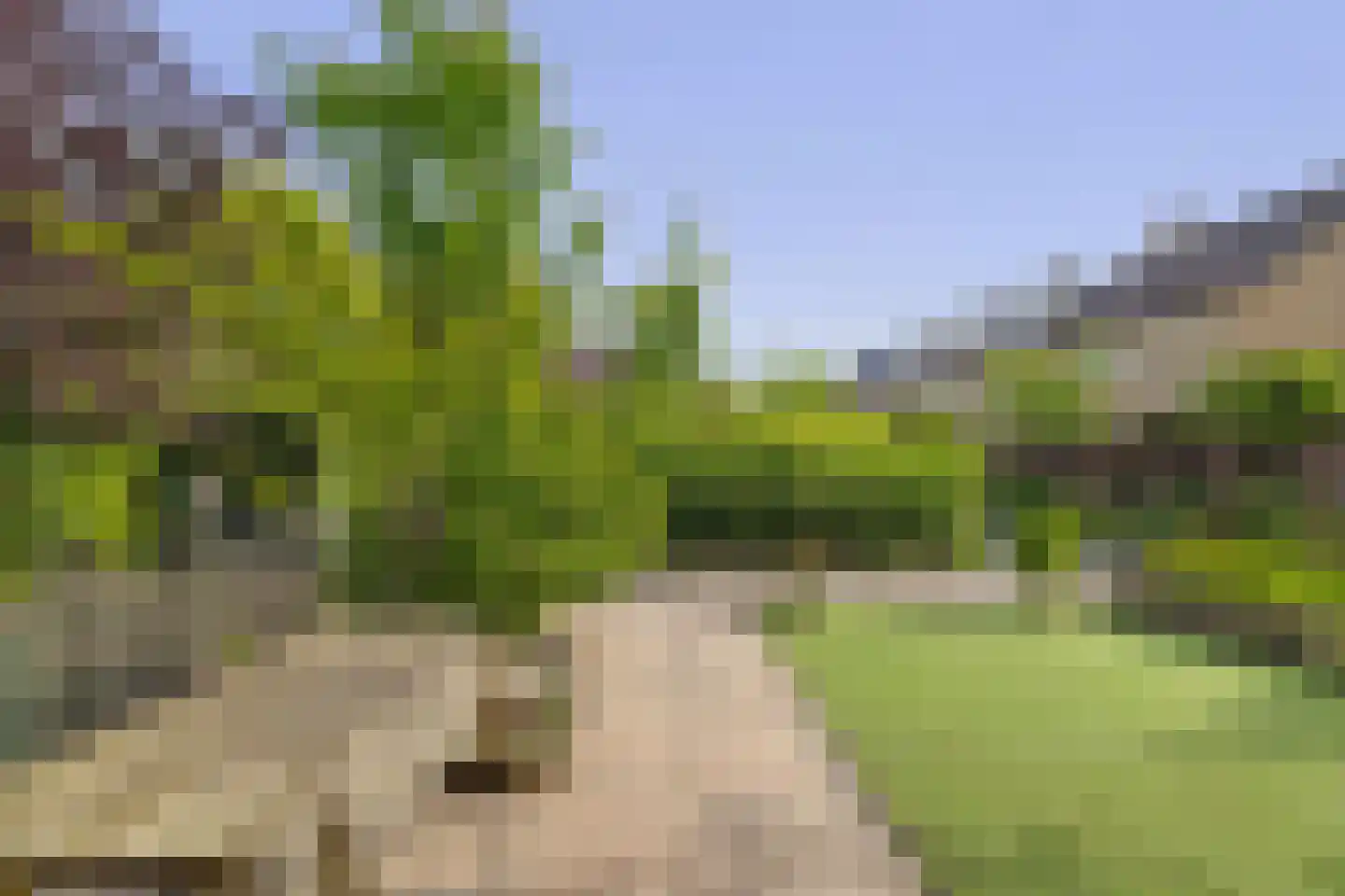 Ravelstraat 48 Lisse thumbnail 36