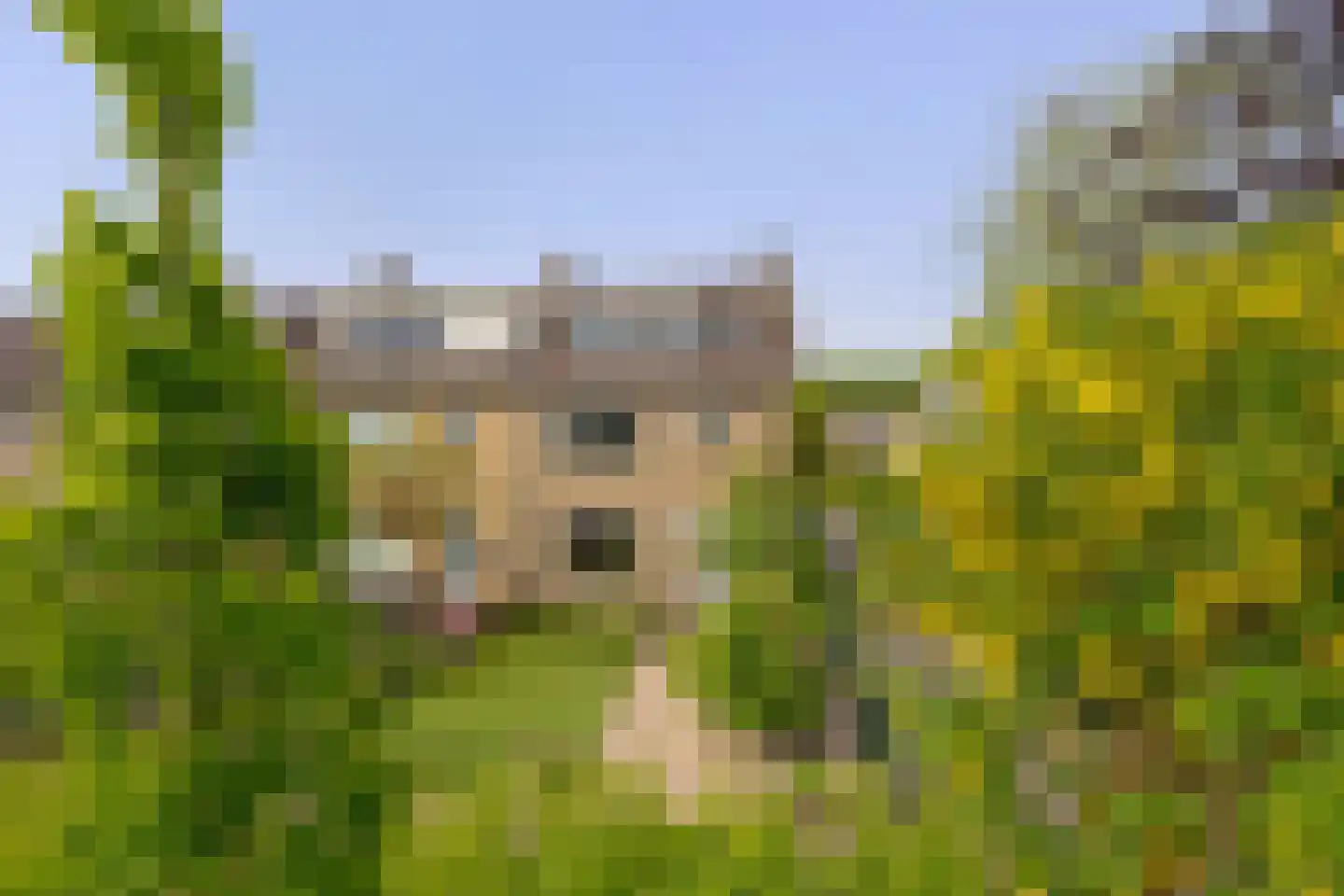 Ravelstraat 48 Lisse thumbnail 39