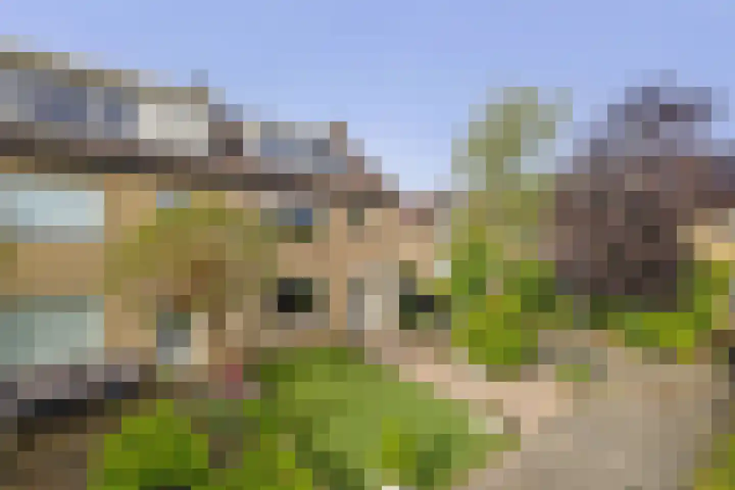 Ravelstraat 48 Lisse thumbnail 42