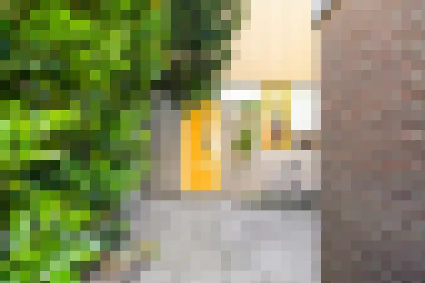 Ravelstraat 5 Delft thumbnail 5