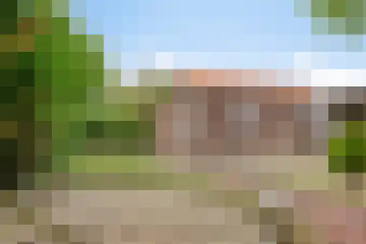 Ravelstraat 53 Bergen op Zoom thumbnail 24