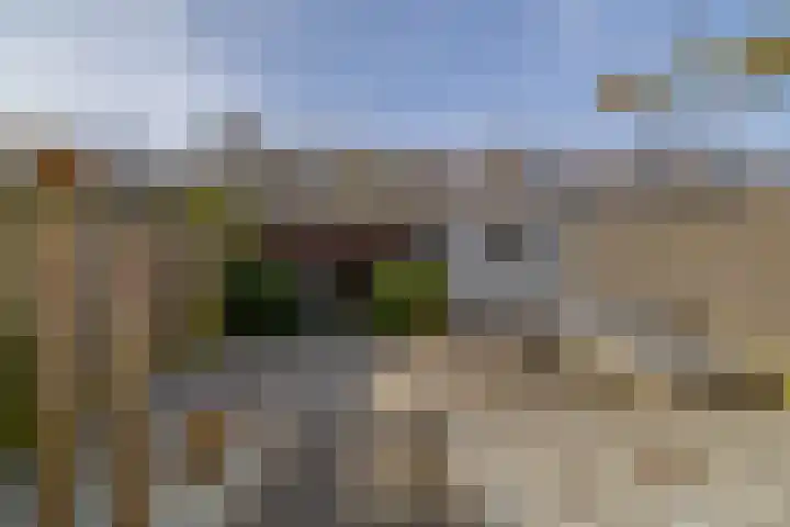 Ravelstraat 64 Lisse thumbnail 26