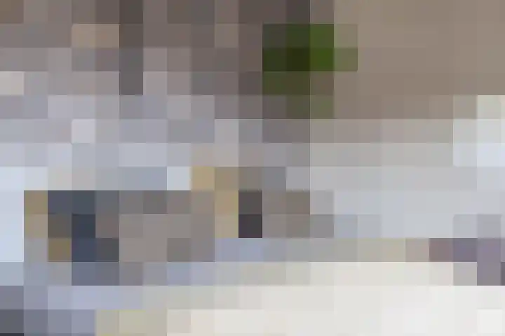 Ravelstraat 64 Lisse thumbnail 32
