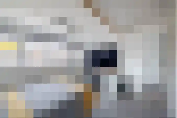 Ravelstraat 64 Lisse thumbnail 43