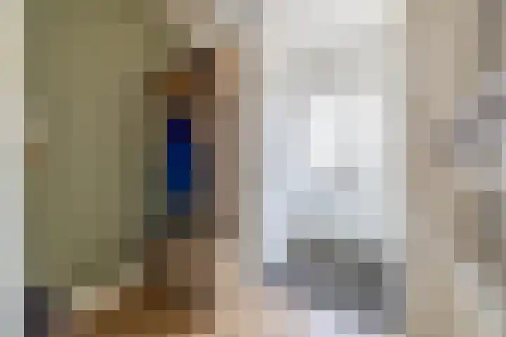 Ravelstraat 64 Lisse thumbnail 5