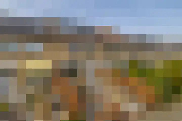 Ravelstraat 64 Lisse thumbnail 56
