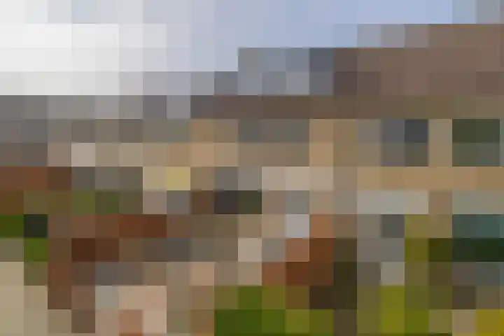 Ravelstraat 64 Lisse thumbnail 57