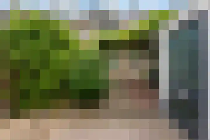 Ravelstraat 78 Ridderkerk thumbnail 32