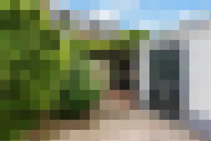 Ravelstraat 78 Ridderkerk thumbnail 33