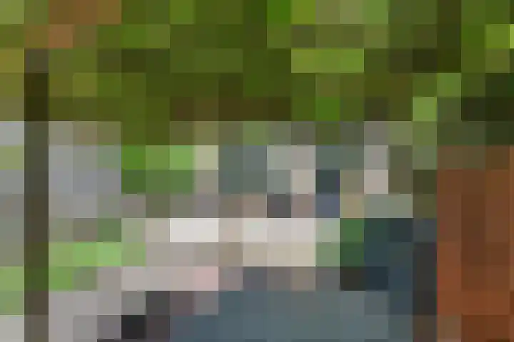 Ravelstraat 78 Ridderkerk thumbnail 34