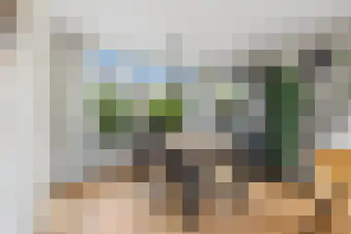 Ravelstraat 78 Ridderkerk thumbnail 8