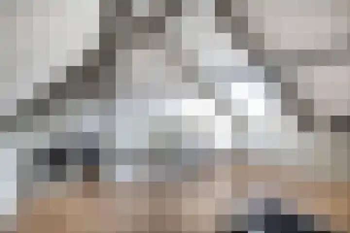Ravelstraat 9 Veenendaal thumbnail 34