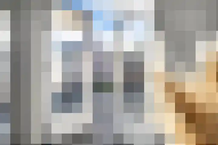 Ravelstraat 9 Veenendaal thumbnail 36