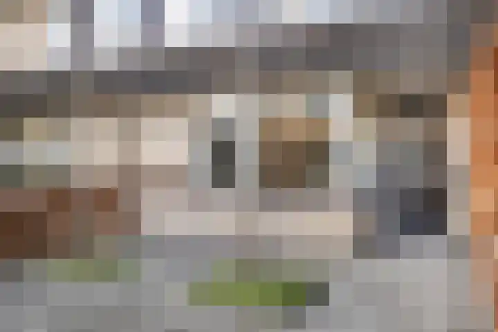 Ravelstraat 9 Veenendaal thumbnail 45