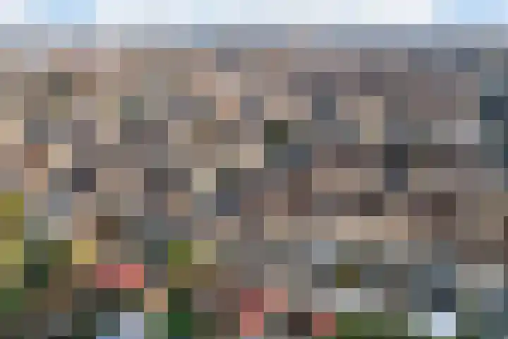 Ravelstraat 9 Veenendaal thumbnail 49