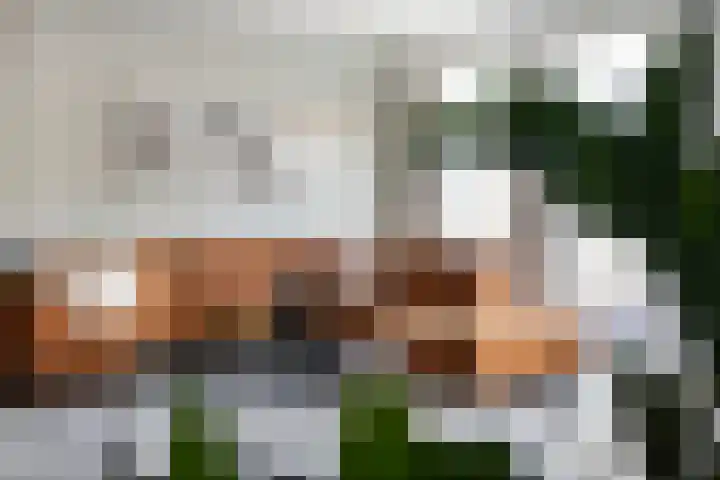 Ravelstraat 9 Veenendaal thumbnail 8