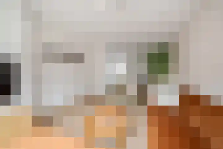 Ravenbos 1 Chaam thumbnail 17