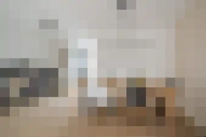 Ravenbos 1 Chaam thumbnail 18