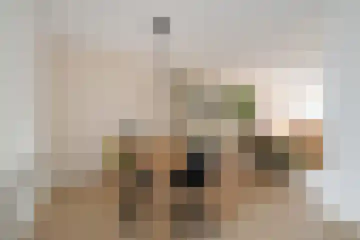 Ravenbos 1 Chaam thumbnail 20