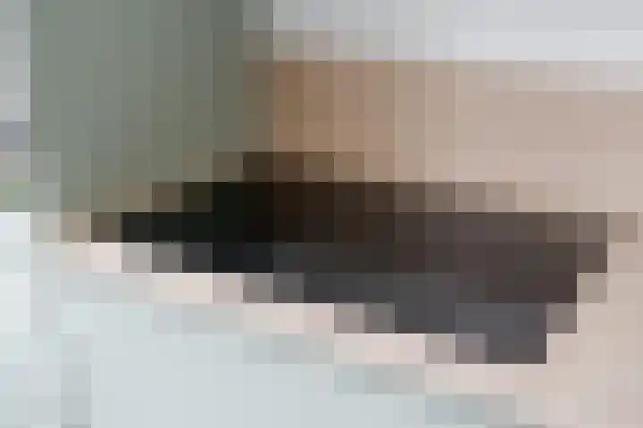 Ravenbos 1 Chaam thumbnail 24
