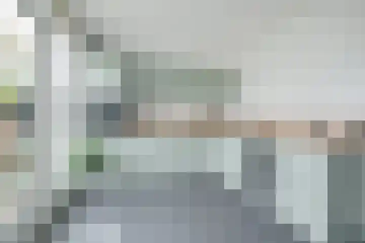 Ravenbos 1 Chaam thumbnail 25