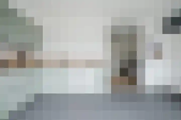Ravenbos 1 Chaam thumbnail 28