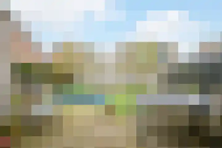 Ravenbos 1 Chaam thumbnail 31