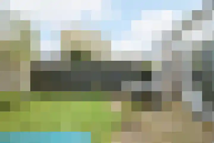 Ravenbos 1 Chaam thumbnail 33