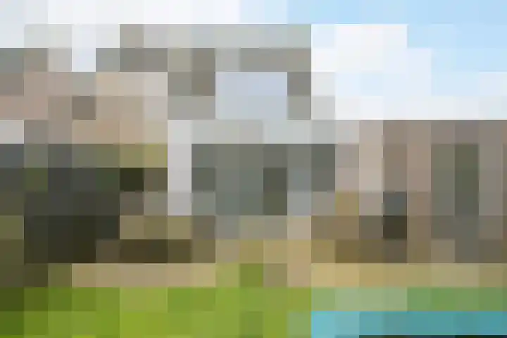 Ravenbos 1 Chaam thumbnail 36