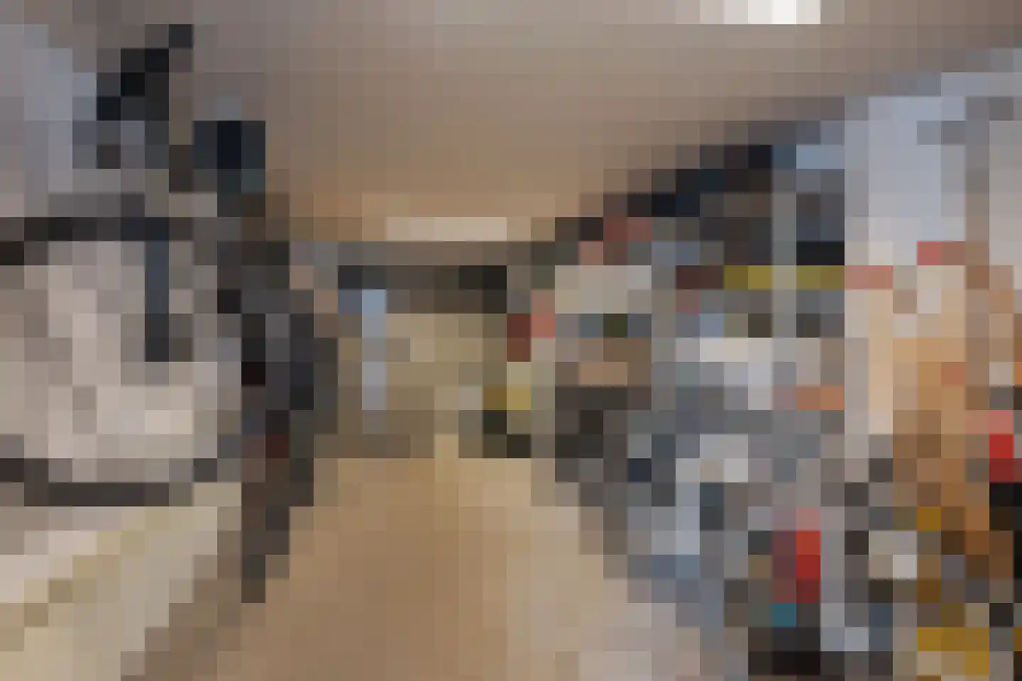 Ravenbos 1 Chaam thumbnail 41