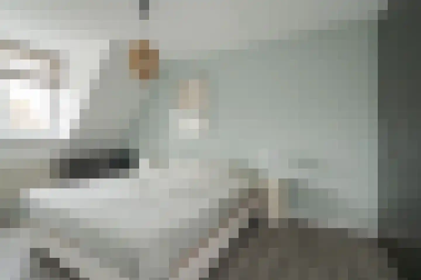 Ravenbos 1 Chaam thumbnail 43