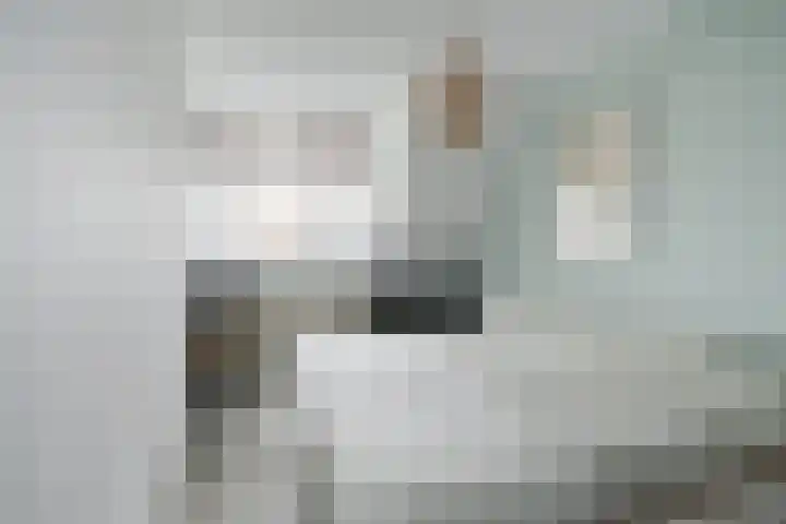 Ravenbos 1 Chaam thumbnail 44
