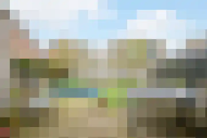 Ravenbos 1 Chaam thumbnail 5