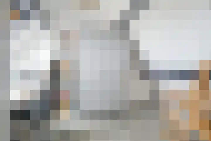 Ravenbos 1 Chaam thumbnail 53