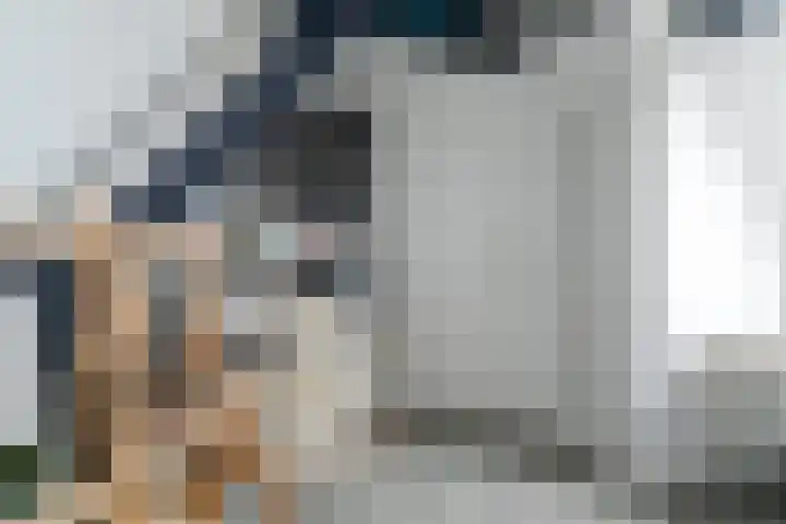Ravenbos 1 Chaam thumbnail 55