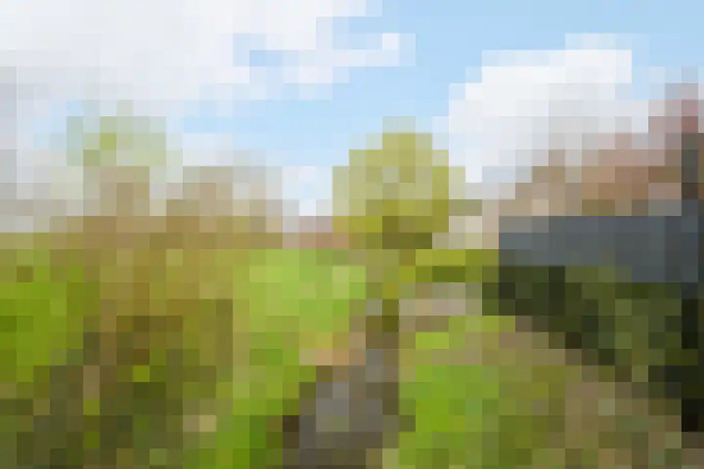 Ravenbos 1 Chaam thumbnail 60