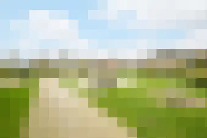 Ravenbos 1 Chaam thumbnail 61
