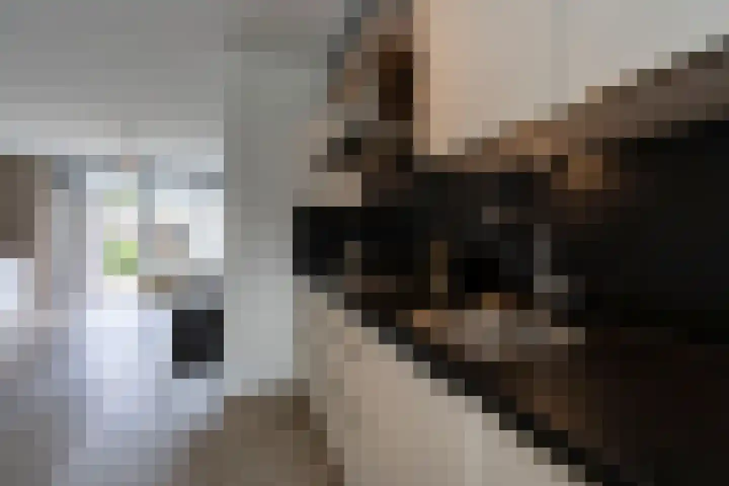 Ravenburg 3 Weert thumbnail 11