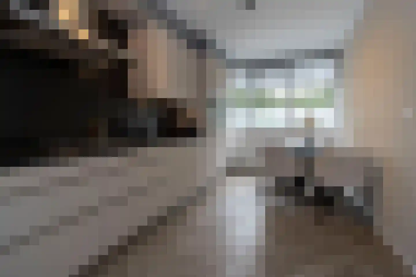 Ravenburg 3 Weert thumbnail 8