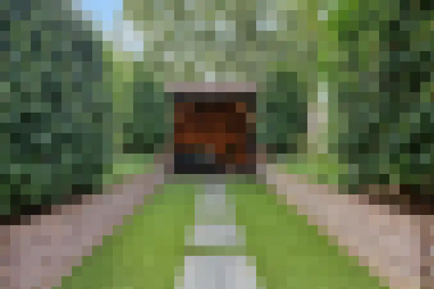 Ravenburg 30 Ede thumbnail 38