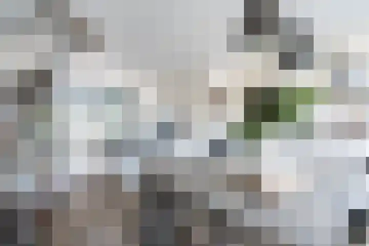Ravenburg 8 Weert thumbnail 10