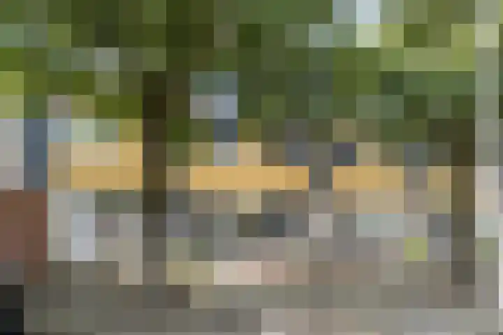 Ravenburg 8 Weert thumbnail 37