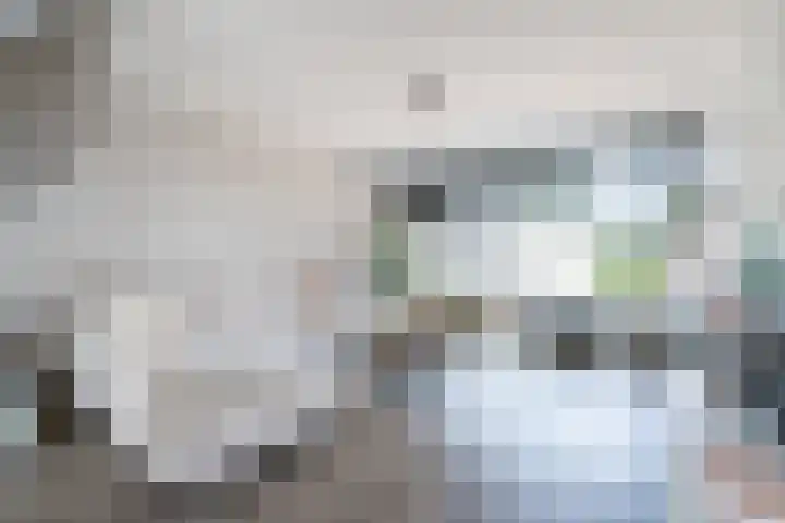 Ravenburg 8 Weert thumbnail 7